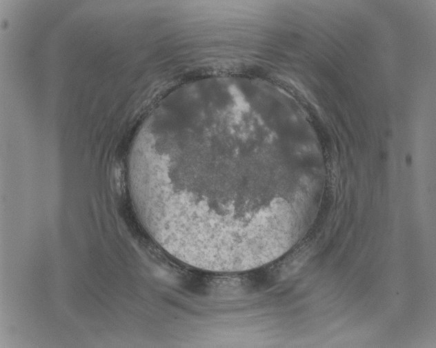 X0000075810123200610151439