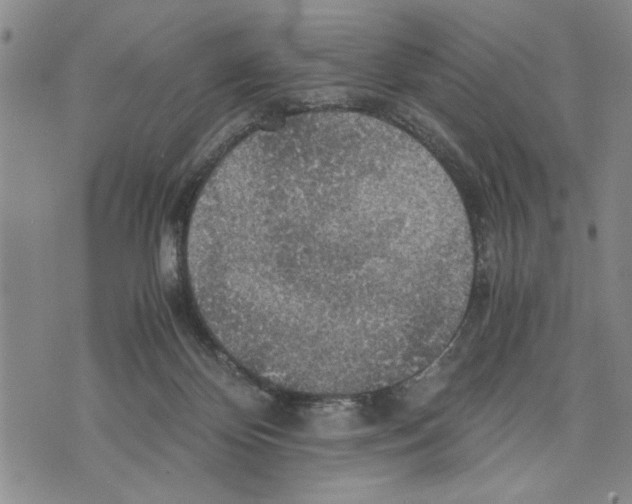 X0000075810124200610151439