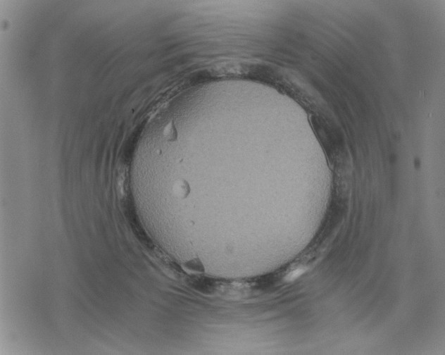 X0000075810125200610151439