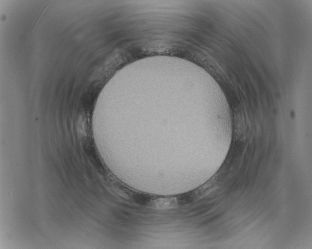 X0000075810126200610151439