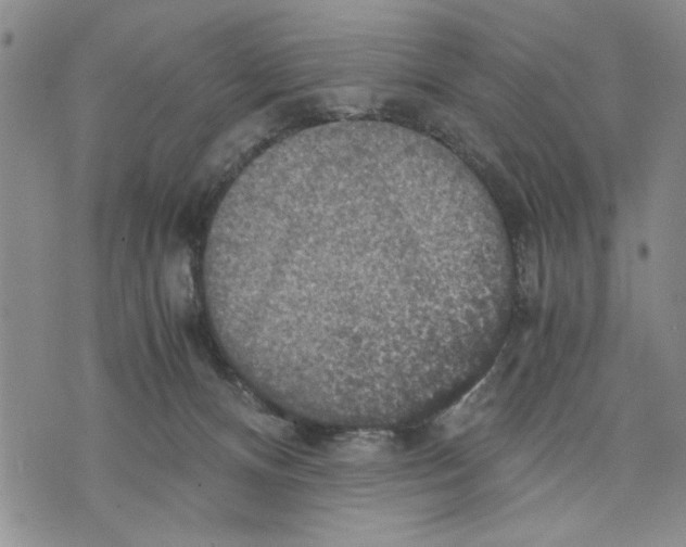 X0000075810128200610151439