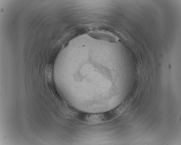 X0000075810129200610151439