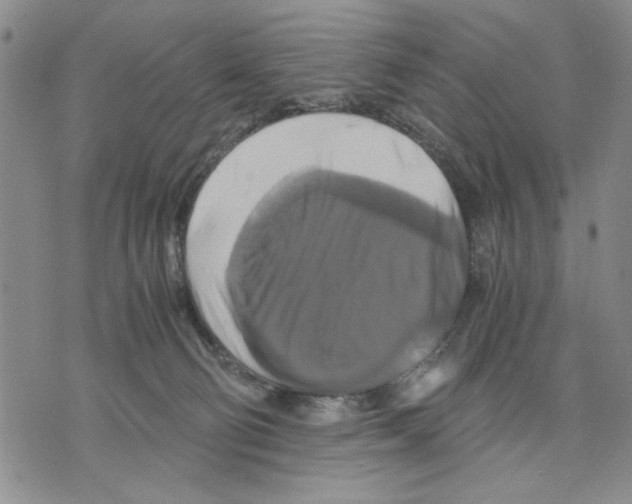 X0000075810130200610151439