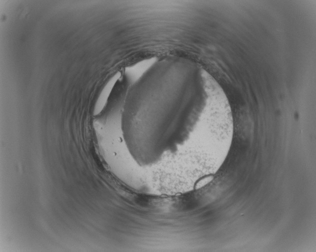 X0000075810131200610151439