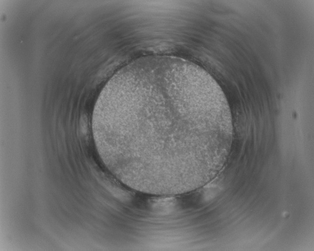 X0000075810132200610151439