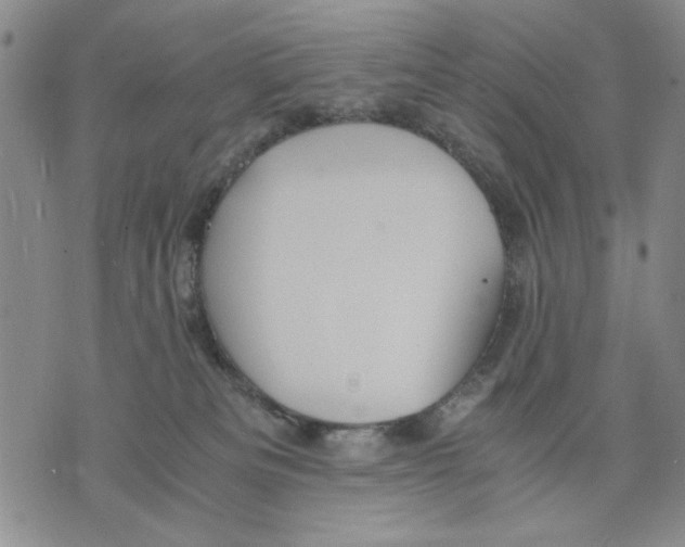 X0000075810133200610151439