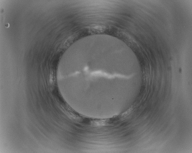 X0000075810134200610151439