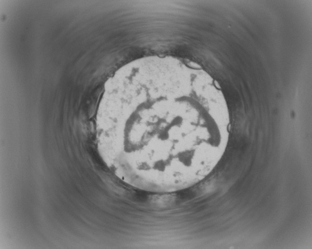 X0000075810135200610151439