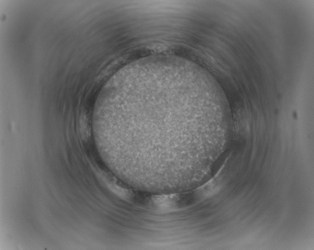 X0000075810136200610151439