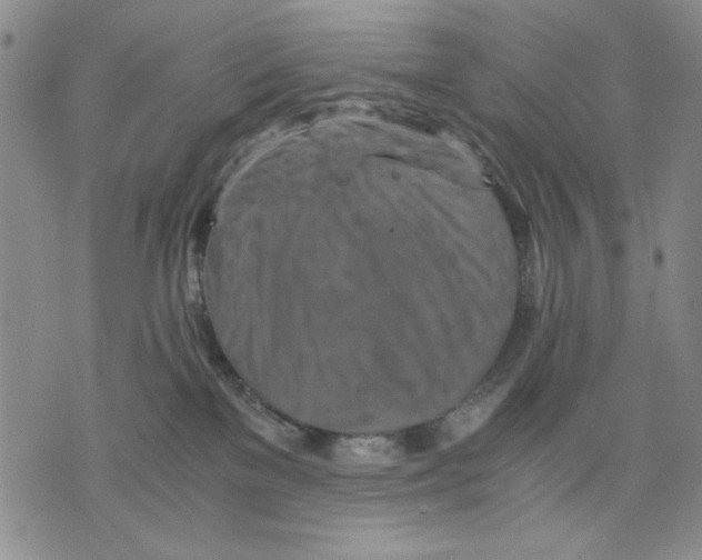 X0000075810137200610151439