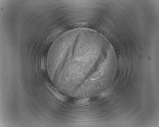 X0000075810138200610151439