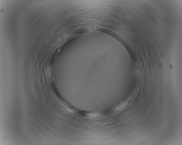 X0000075810139200610151439