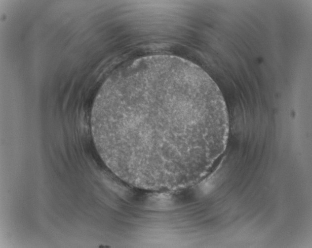 X0000075810140200610151439