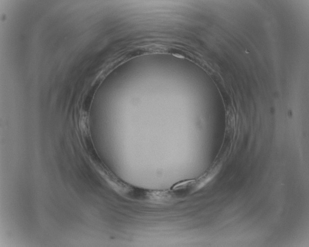 X0000075810141200610151439