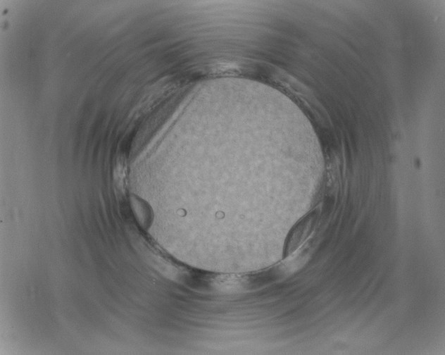 X0000075810142200610151439