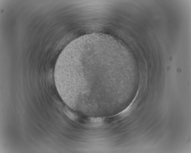 X0000075810144200610151439