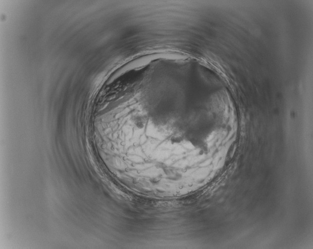 X0000075810145200610151438