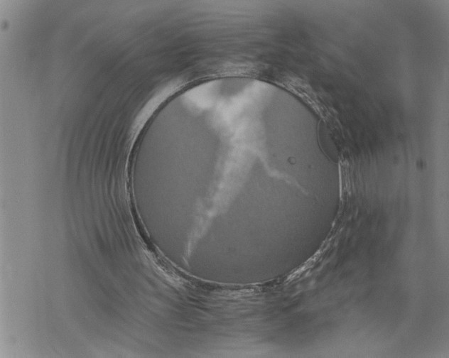 X0000075810147200610151438