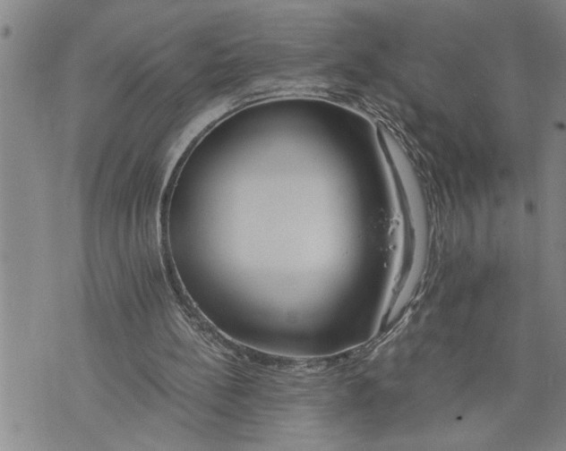 X0000075810148200610151438