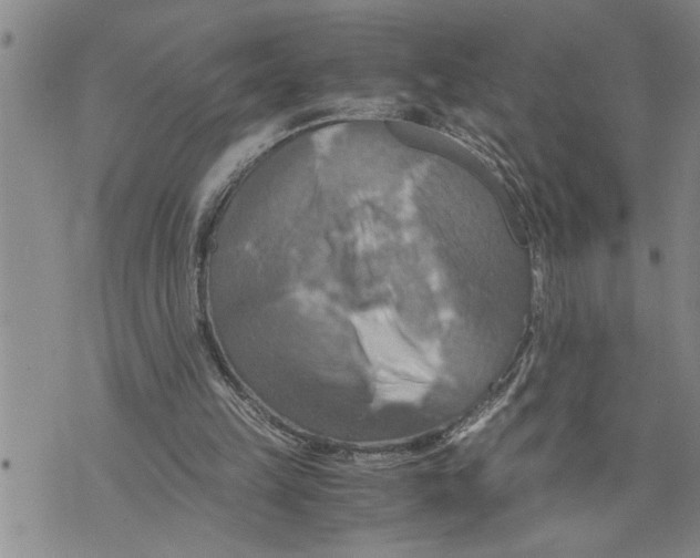 X0000075810149200610151438