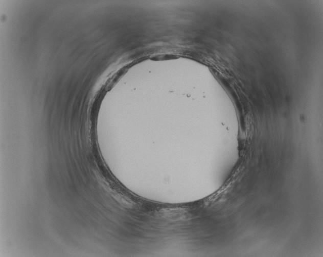 X0000075810150200610151438