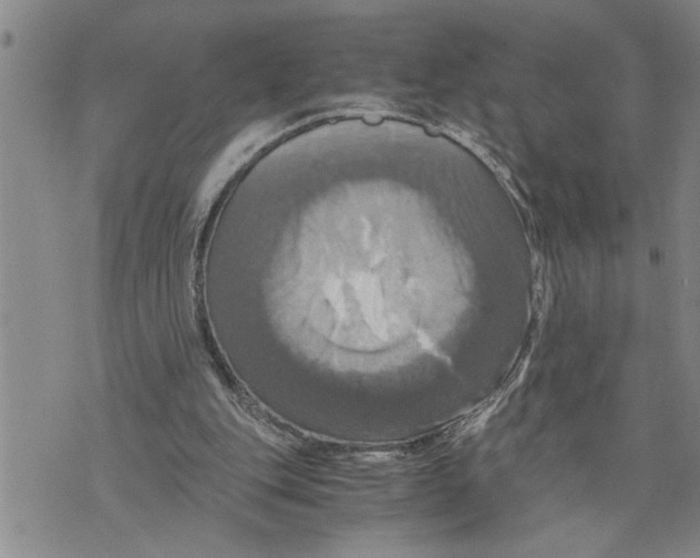 X0000075810151200610151438