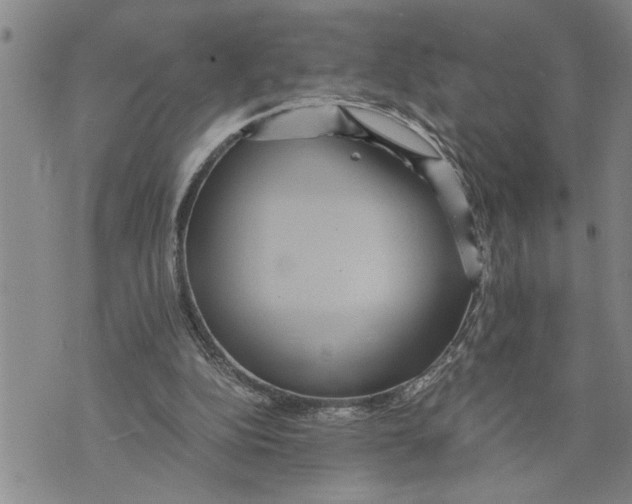 X0000075810152200610151438