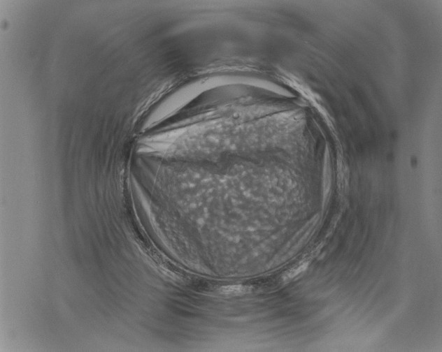 X0000075810153200610151438