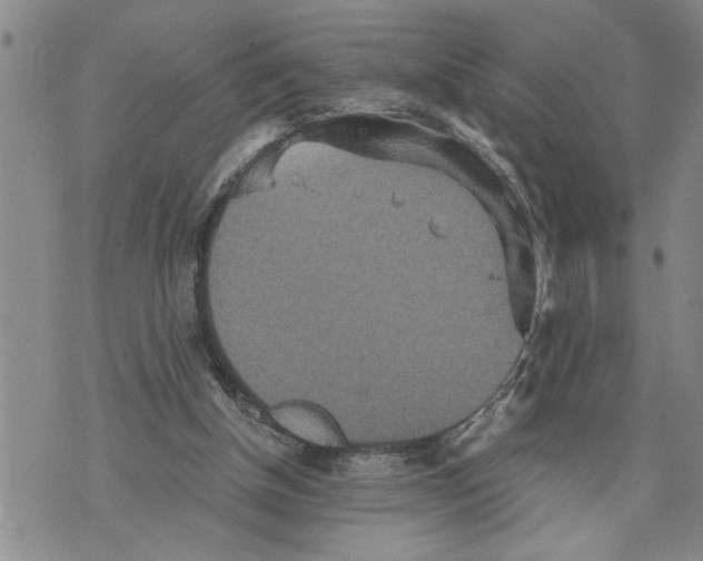 X0000075810154200610151438