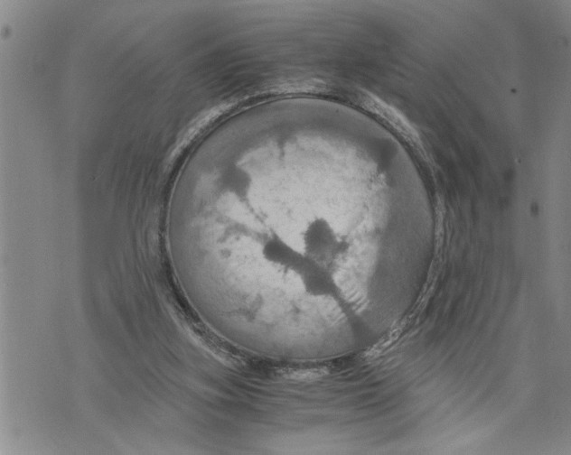 X0000075810155200610151438