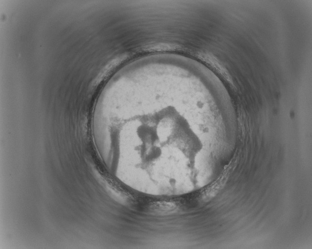 X0000075810159200610151438