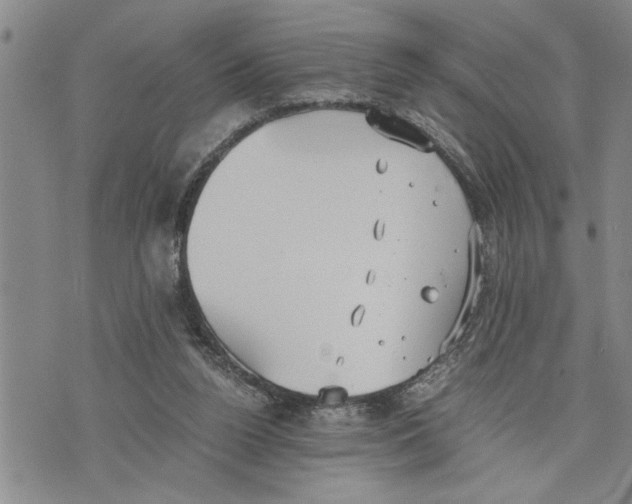 X0000075810160200610151439