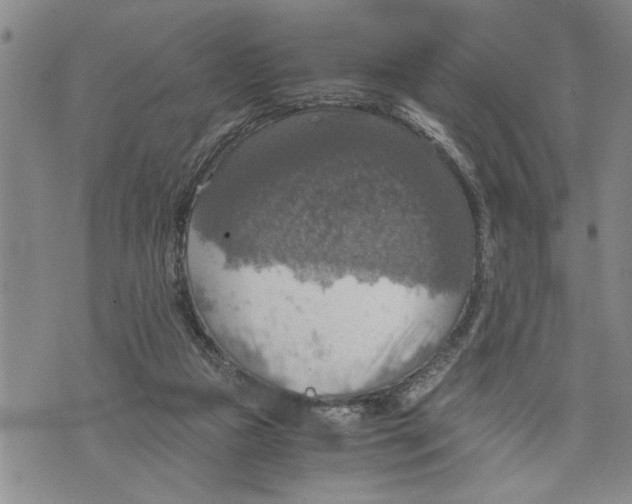 X0000075810161200610151439