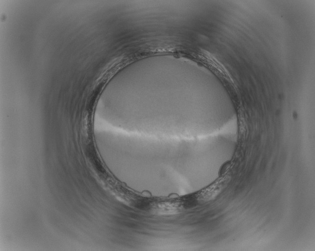 X0000075810163200610151439