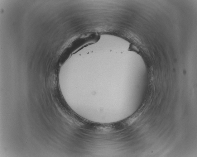 X0000075810164200610151439