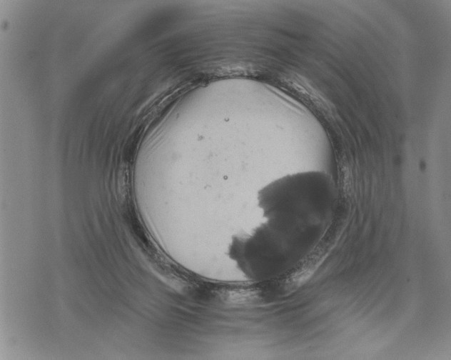 X0000075810165200610151439