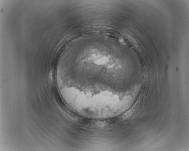 X0000075810166200610151439