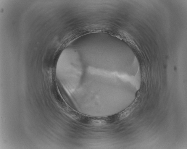 X0000075810167200610151439