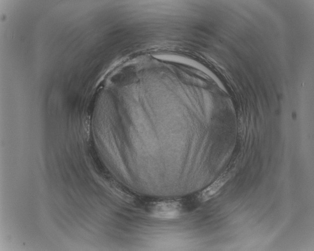 X0000075810168200610151439