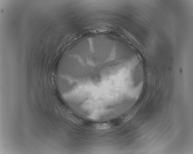 X0000075810169200610151439