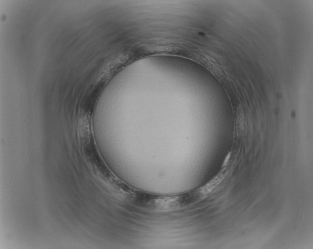 X0000075810172200610151439