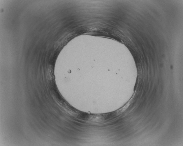 X0000075810174200610151439