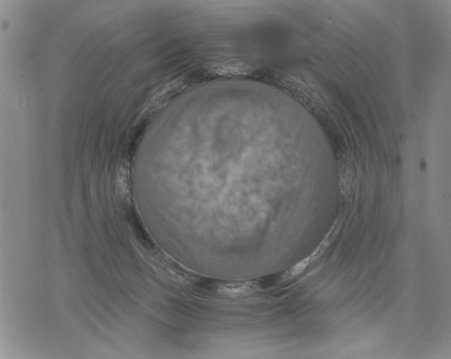 X0000075810175200610151439