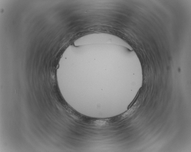 X0000075810176200610151439