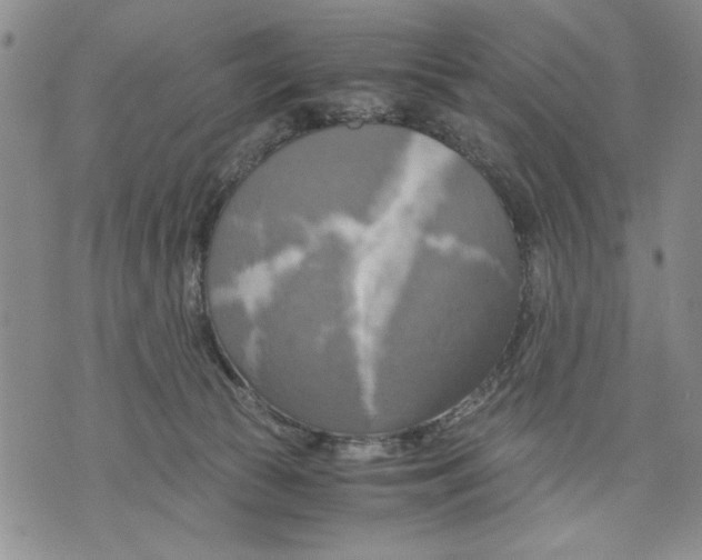 X0000075810177200610151439