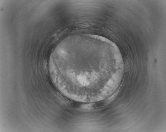 X0000075810178200610151439