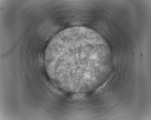 X0000075810179200610151439