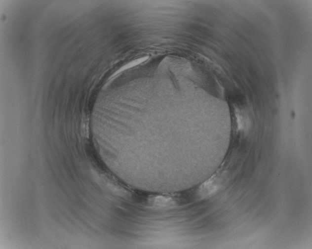 X0000075810180200610151439