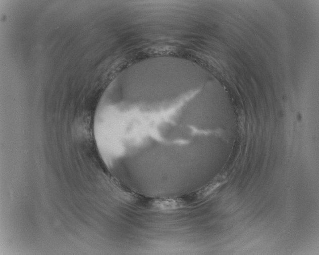 X0000075810181200610151439