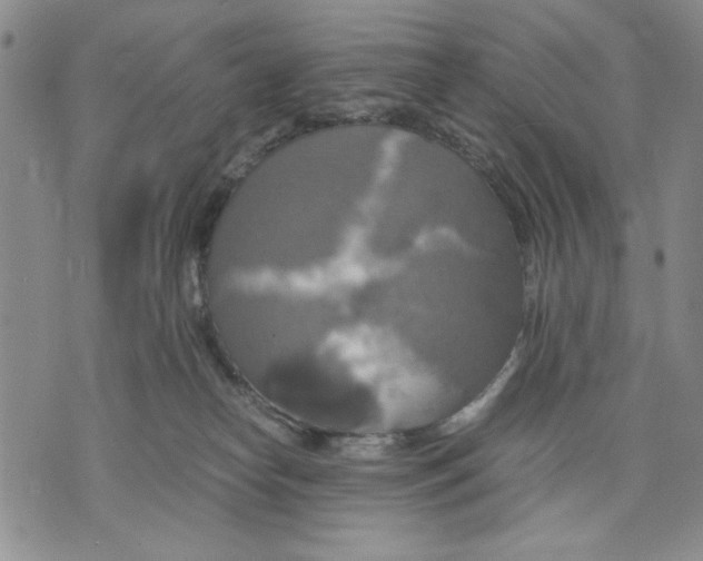 X0000075810182200610151439